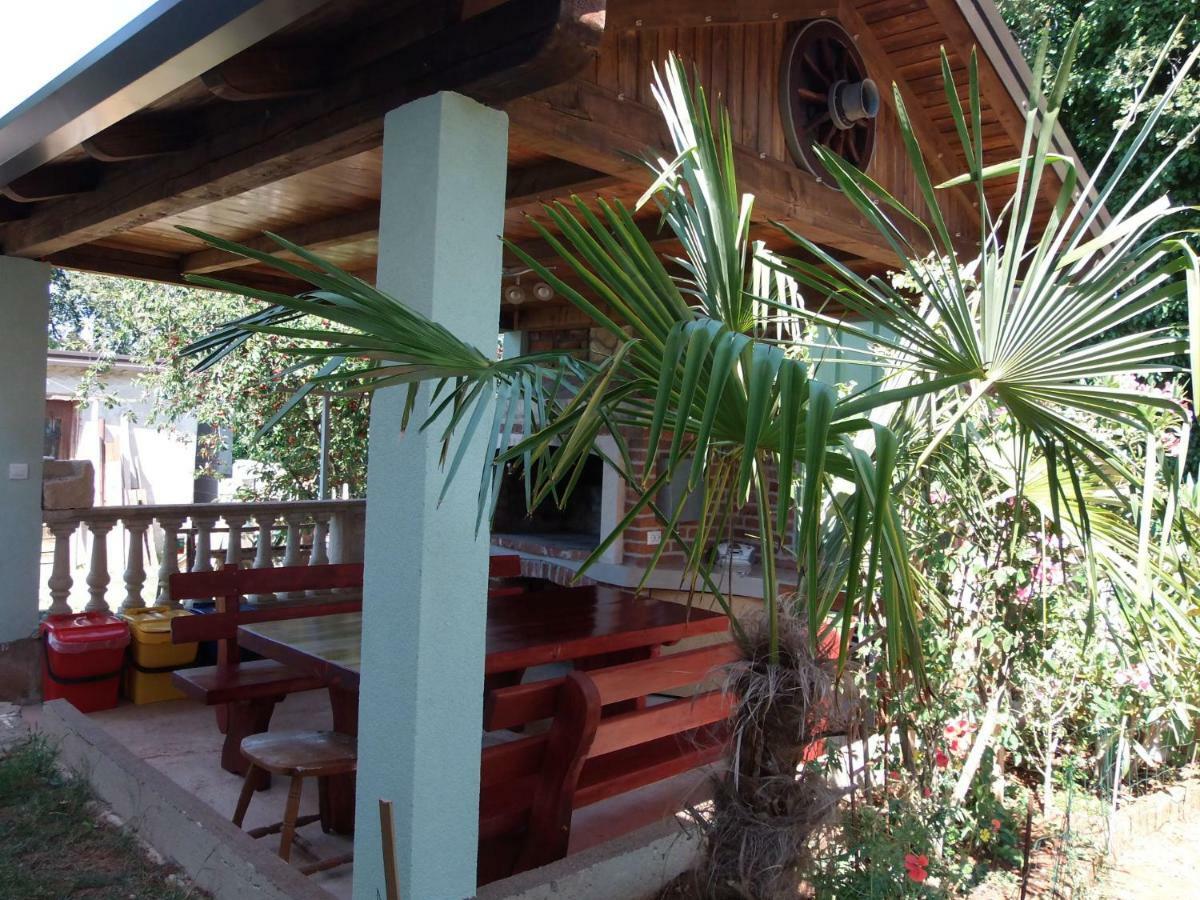 Apartman Cajt