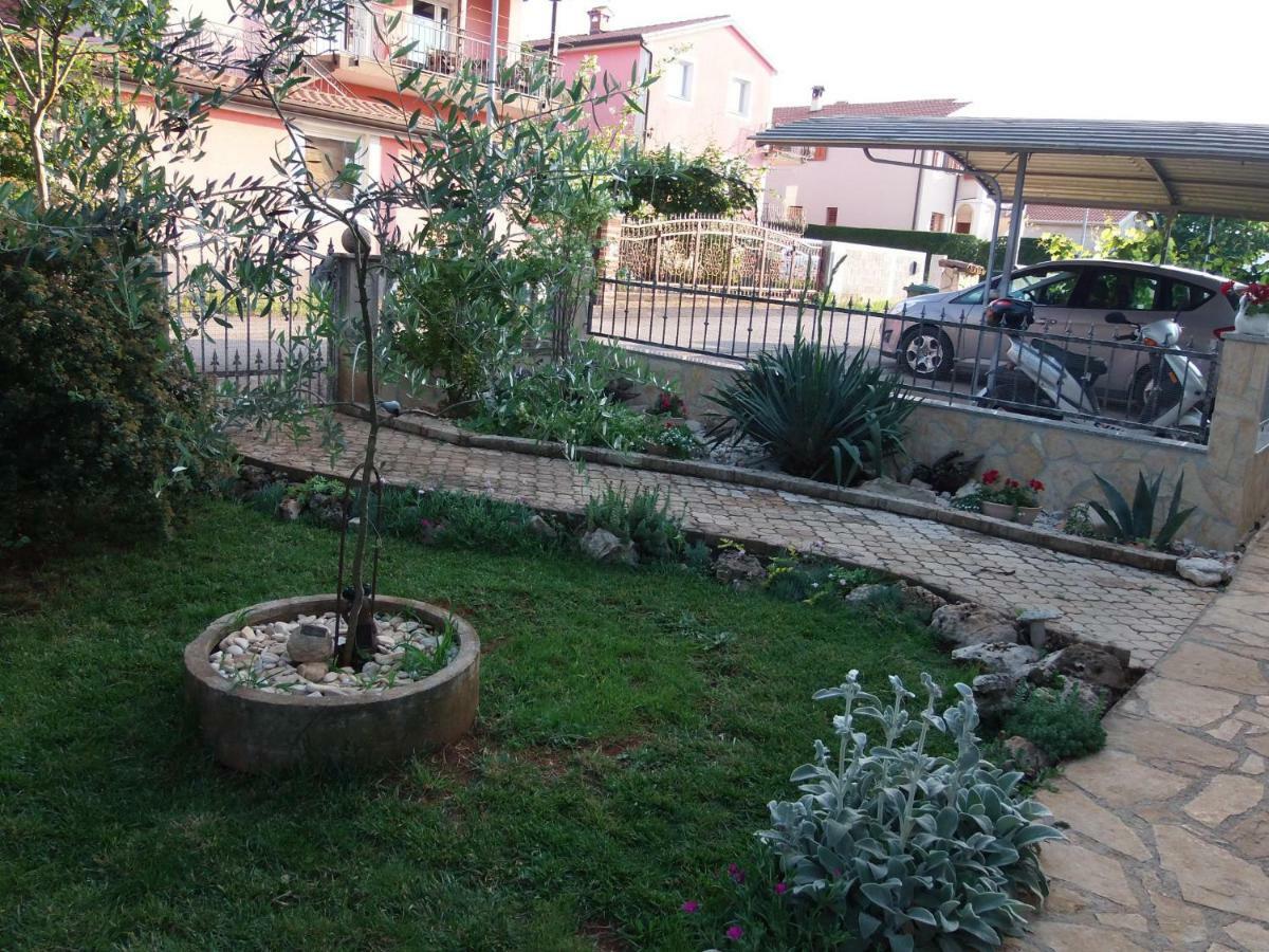 Cajt Umag